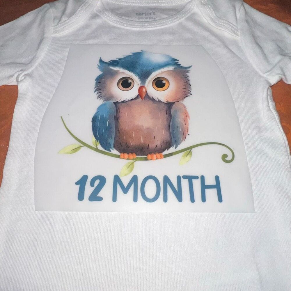 Mile stone Personalized Baby Onesie | New Baby Gift | Baby Shower Outfit Made to